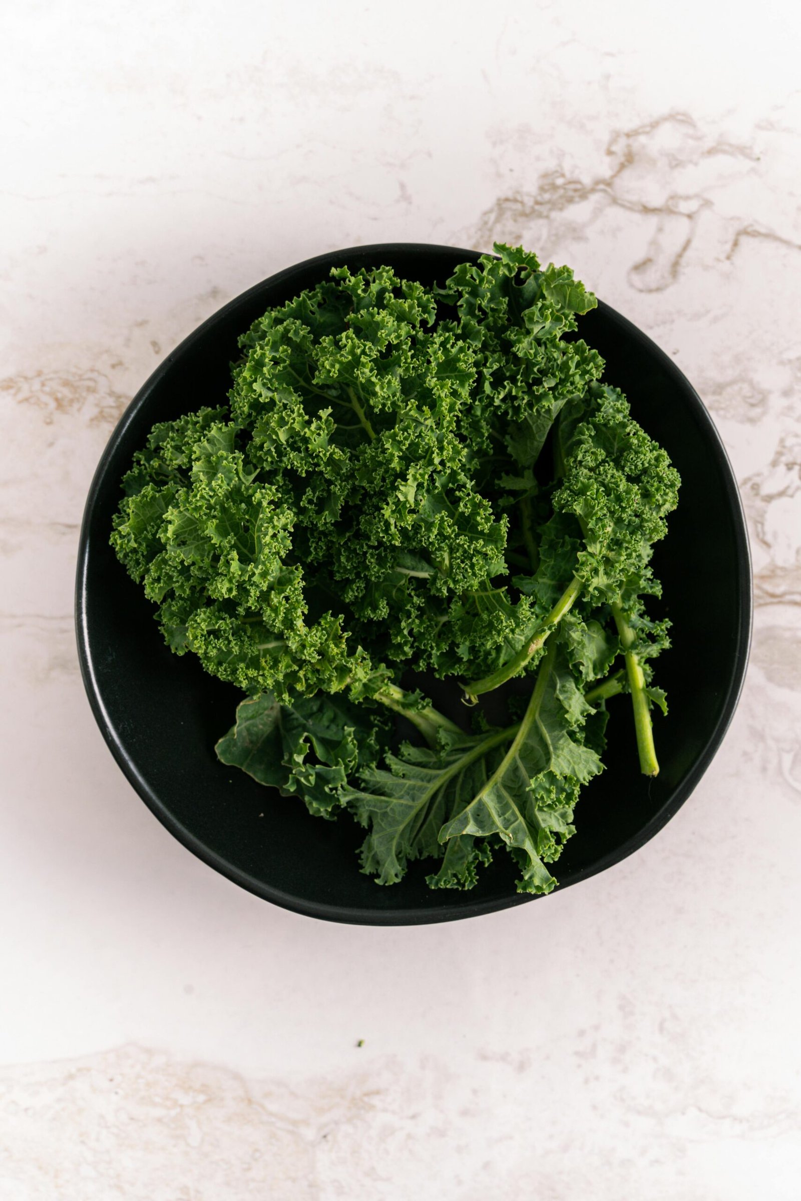 Garden Highlights: Kale